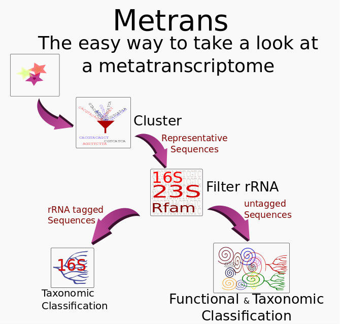 Metrans Overview